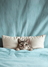 楽しいキルト猫2.2-ジャコウネコ