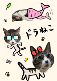 japanese lovely character "DORANEKO"