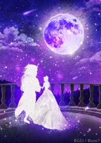美女と野獣～幻想夜空～
