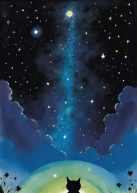 A cat gazing at the starry sky 89A338