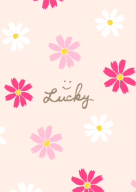 Little Cosmos4 from Japan