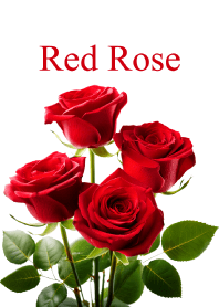 "Red Rose vol.9" theme