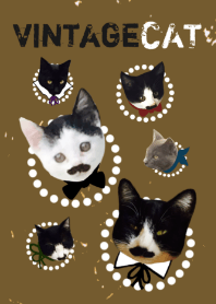 VINTAGE CAT