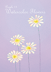 수채화 꽃(마거리트)/보라색 11.v2