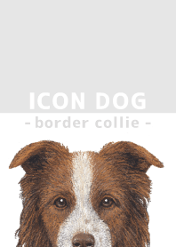 ICON DOG - Border Collie - GRAY/06