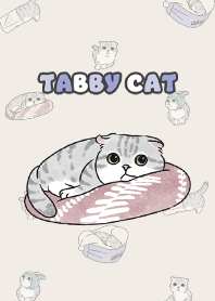 tabbycat9 / beige