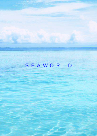 SEA WORLD - Hawaii 14
