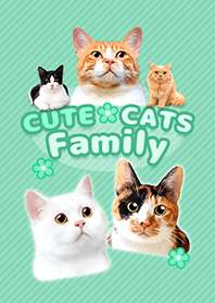 CUTE CATS Family GREEN