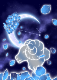 blue cherry blossoms Aries JPN