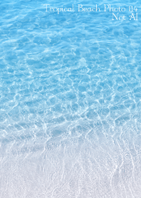 Tropical Beach Photo114 Not AI