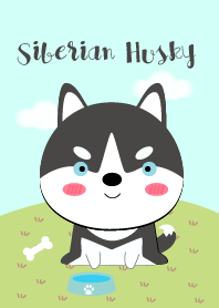 Cute Siberian Husky Dog Theme