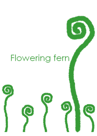 Flowering fern ~ゼンマイ~