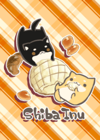 Shiba Inu & Bread