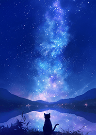 黒猫と過ごす幻想的な夏の夜