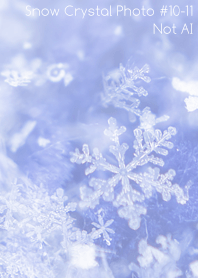 Snow Crystal Photo#10-11 Not AI
