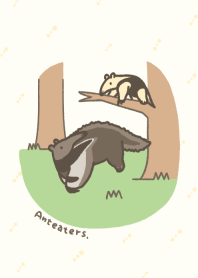 Anteaters
