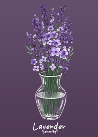 Lavender Serenity