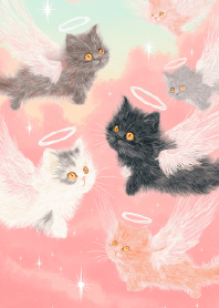 Cat Paradise in the Clouds