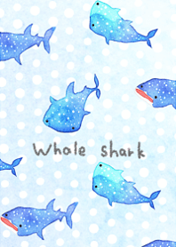 Whale sharks will heal you14