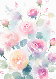 Beautiful rose flower(R4855)