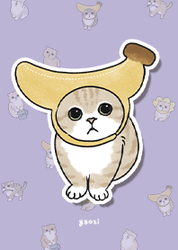 neko combo3 - violet