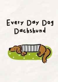 Every Day Dog Dachshund