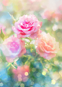 Beautiful rose flower(R1783)