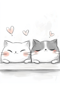 แมวอ้วนกลม น่ารัก_19