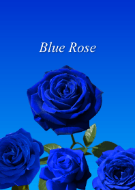 Blue Rose, theme