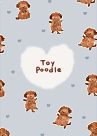 cute love toy poodle16