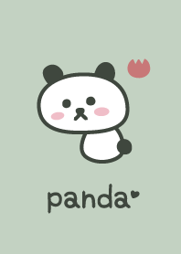 熊貓*綠色*郁金香