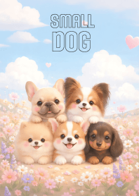 Pretty Small Dog Gang In Flower