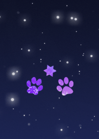 星空貓掌