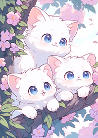 Healing little white cats on the sakura.