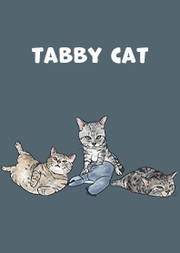 tabbycat5 / dark steel blue