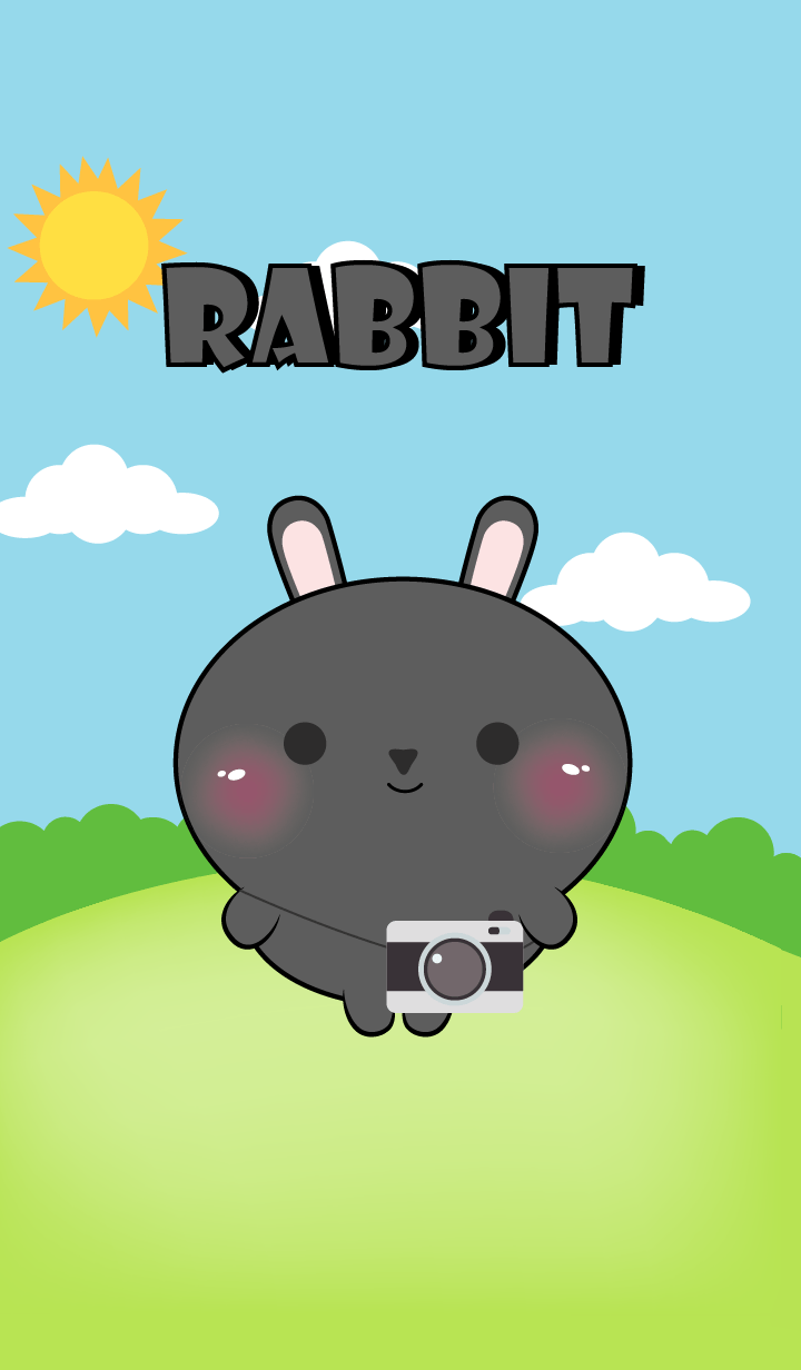 Mini Black Rabbit Theme