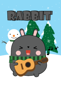Winter Black Rabbit Theme