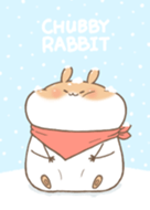 Chubby Rabbit-Snow