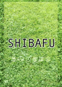SHIBAFU -lawn-