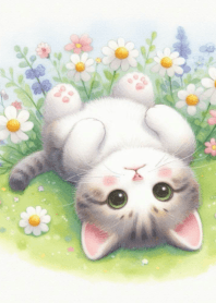 Cute cat no.65