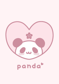 Panda Cherry blossoms [Pink]