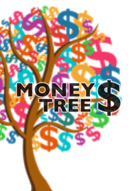 MONEY TREE ✴︎金のなる木✴︎