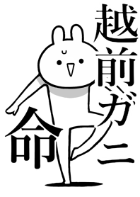 Like Themiie[ECHIZEN-GASNI]