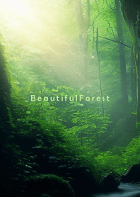 Beautiful Forest-MEKYM 20