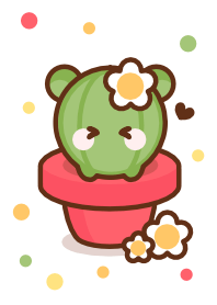 I love baby bear cactus 6