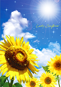 Bring good luck Blue sky & Sunflowers 3*