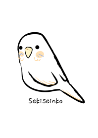 Cute budgerigar with simple