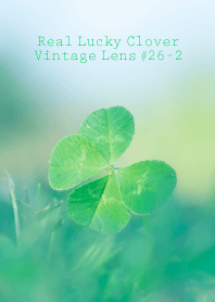 Real Lucky Clover Vintage L...