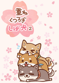 桜　重ねくつろぎしば犬 2
