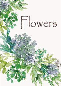 The scent of light watercolor flowers16.